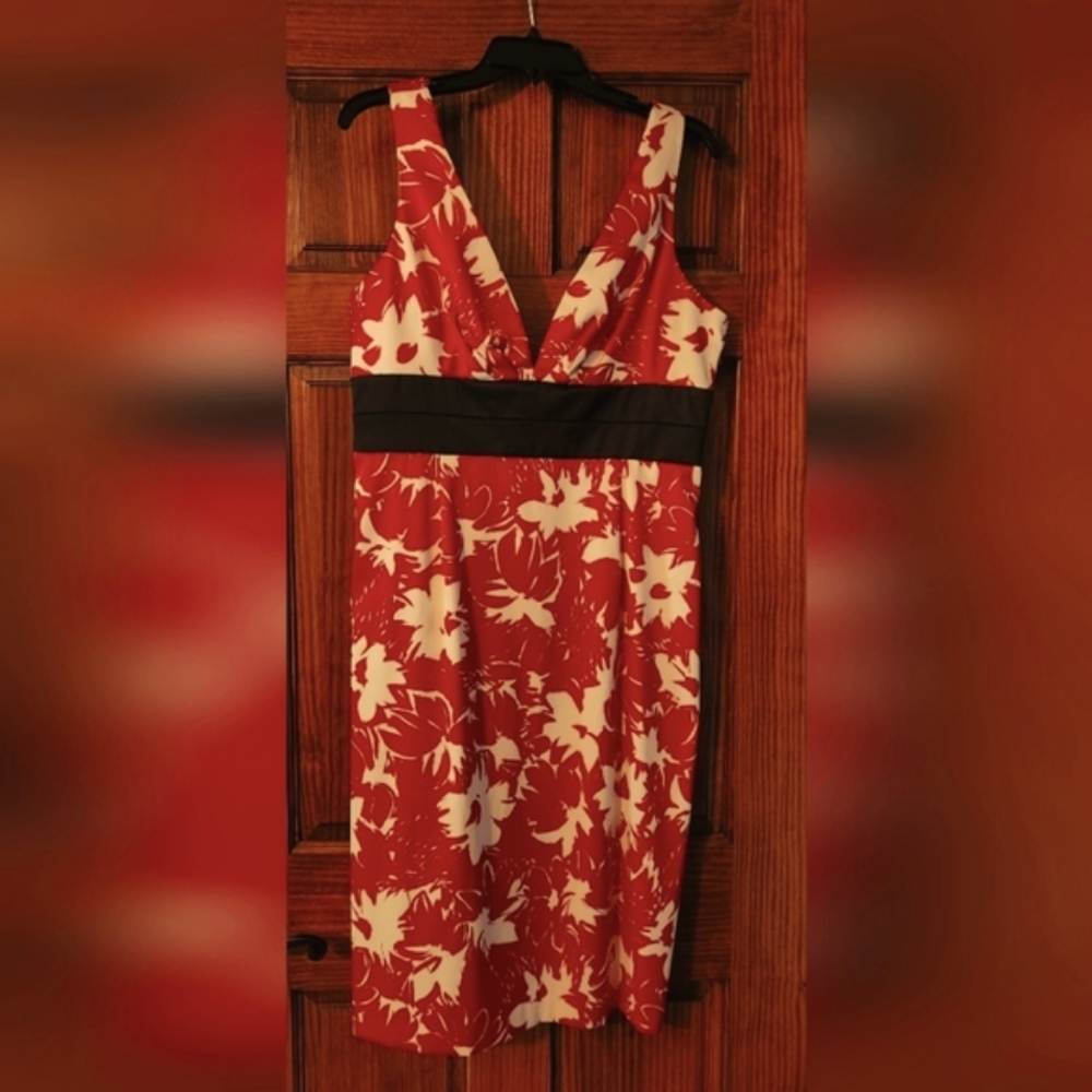 Donna Ricco Dress